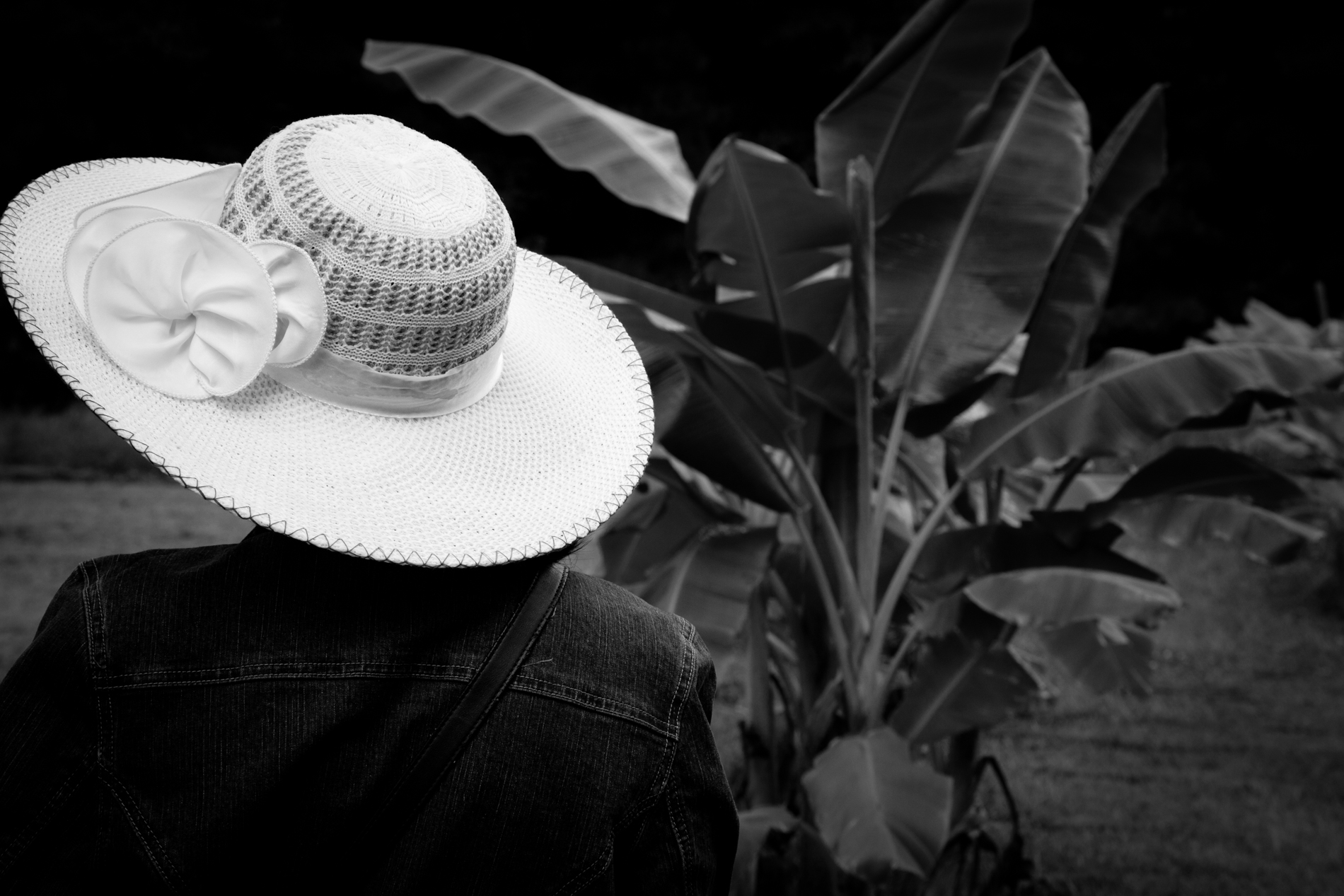 20120918_0041.jpg
