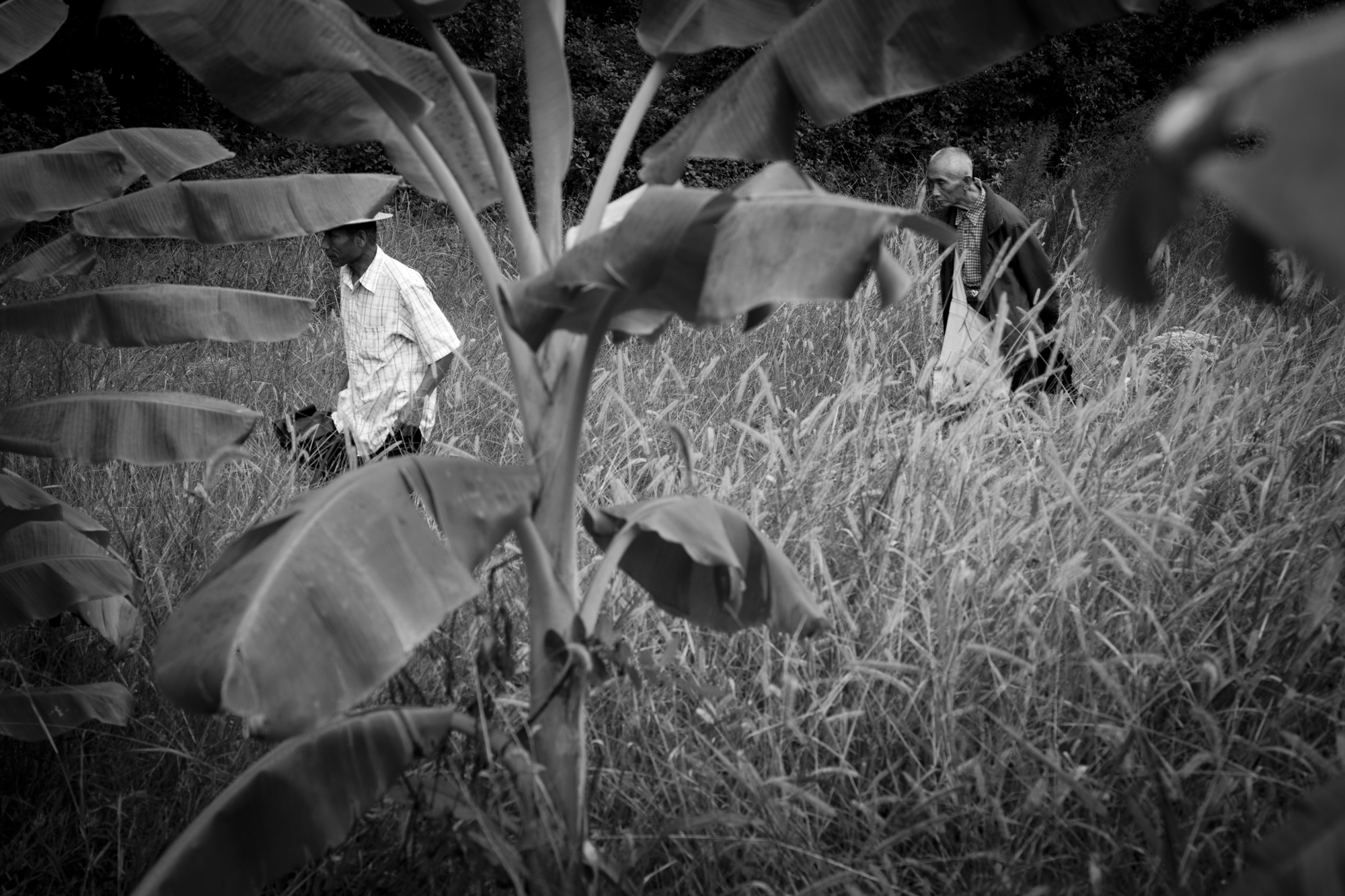 20120918_0063.jpg