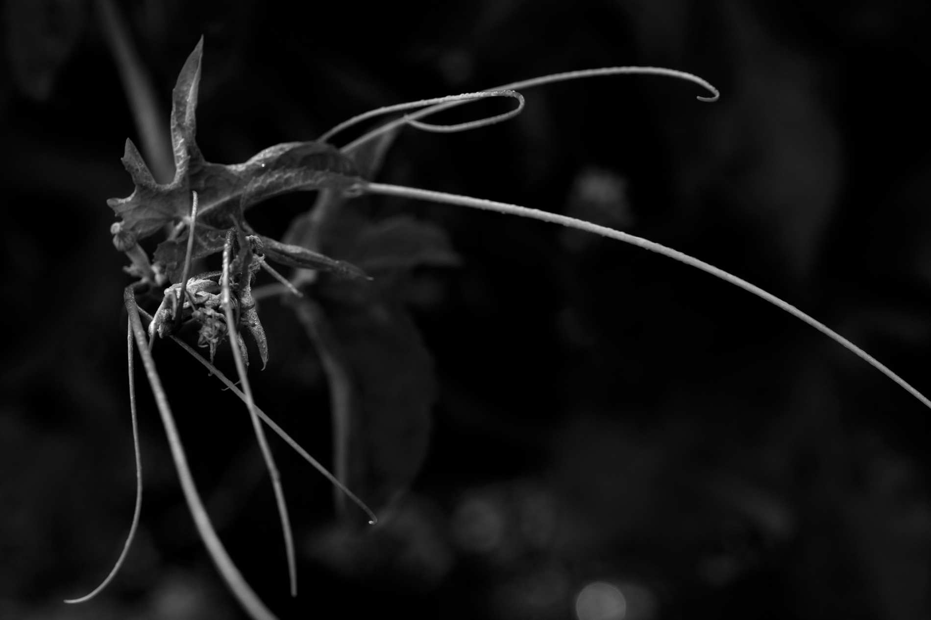 20120914_0033 copy.jpg