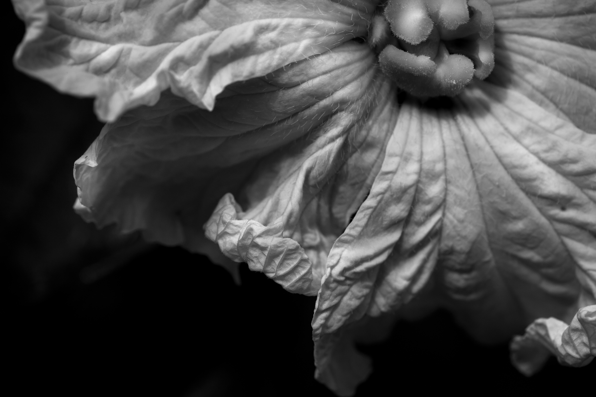 20120914_0026.jpg