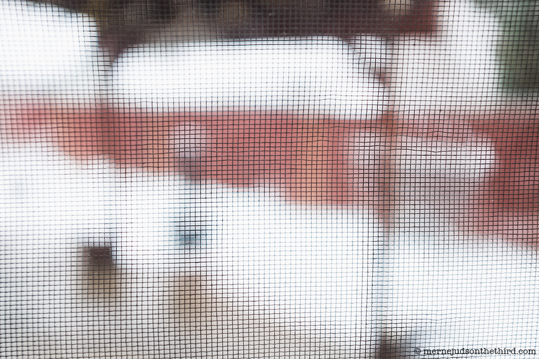 35 - I’m Ready To Just Get Out…Or Something - 03.07.14 - One A Day series