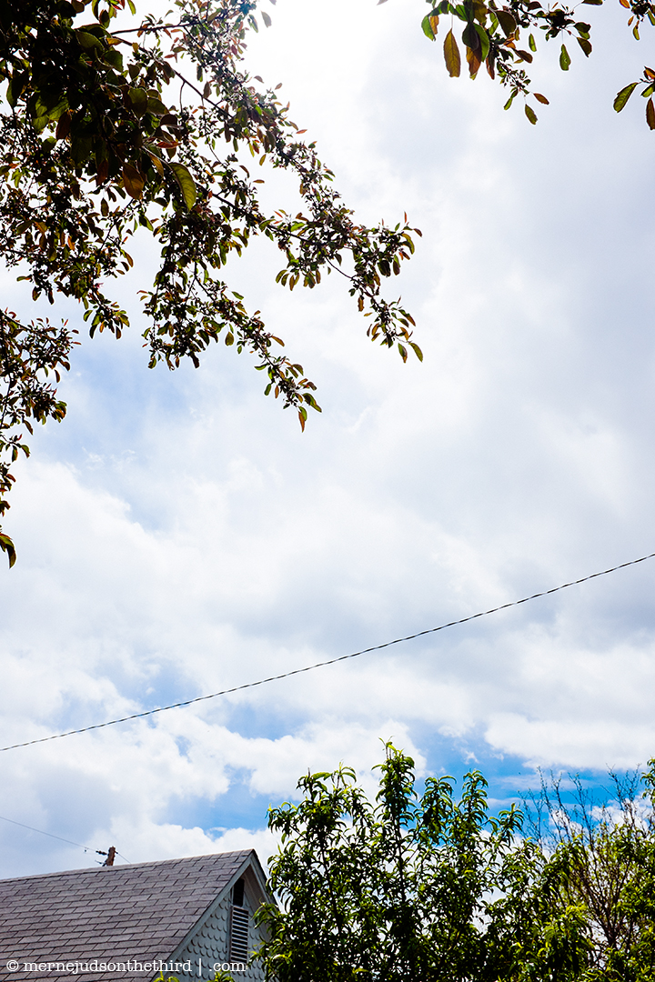 103 - Unbostruceted View of Obstructions - 05.14.14 - One A Day series