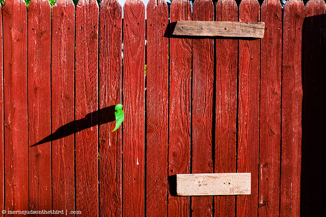 151 - An Explanation of Life With A Fence - 07.01.14 - One A Day series