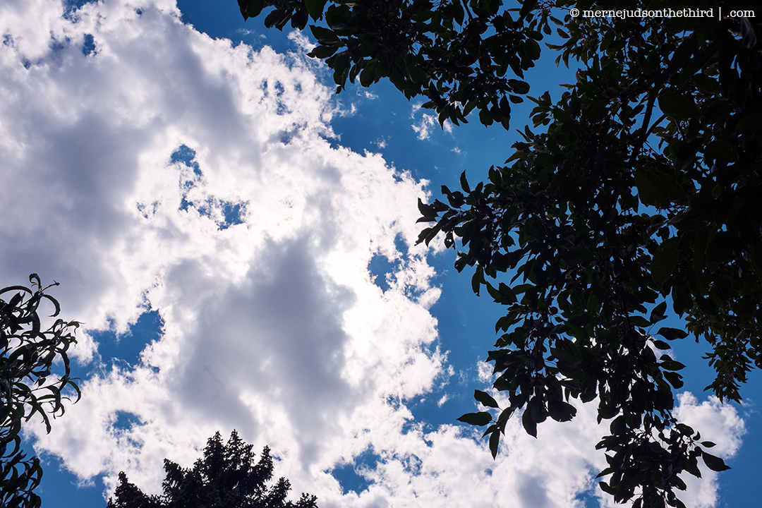 201 - Are There Any Other Photos Out There? - 08.20.14 - One A Day series