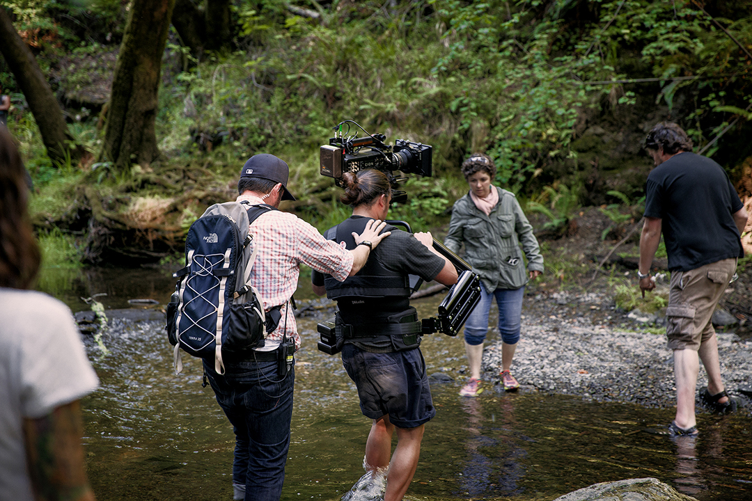 ENTROPY: Behind The Scenes
