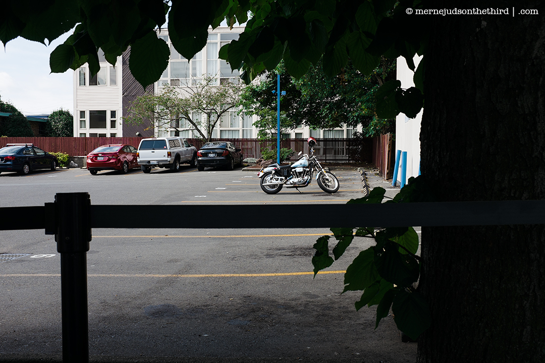 224 - Out Among The Sons - 09.12.14 - One A Day series