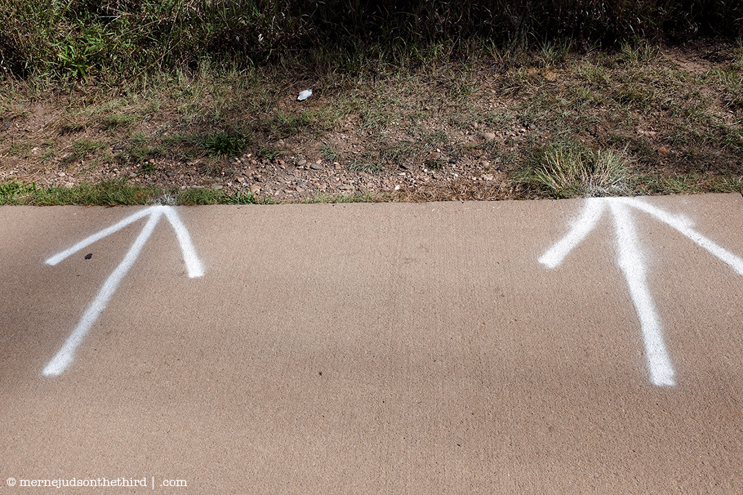 238 - If You Were Unsure Which Way - 09.26.14 - One A Day series