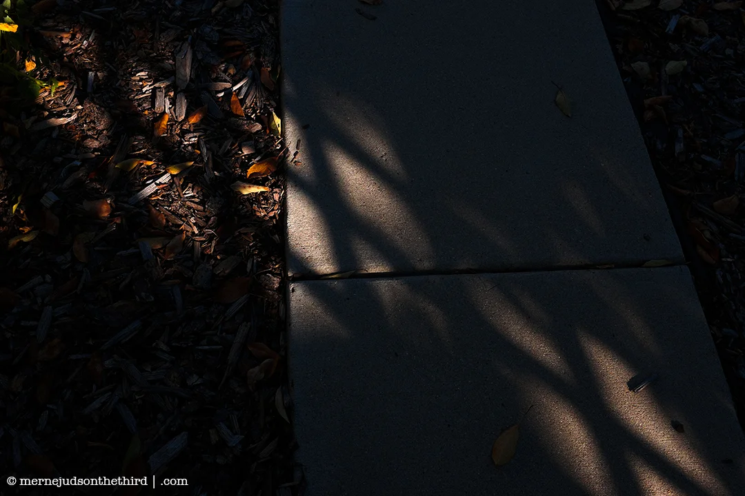263 - In The Beer Garden Every Drunk Has A Little Shakespeare - 10.21.14 - One A Day series