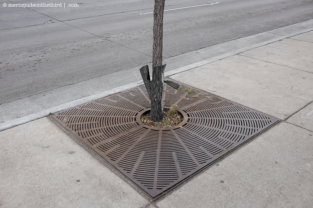 317 - It Was Just There - 12.14.14 - One A Day series
