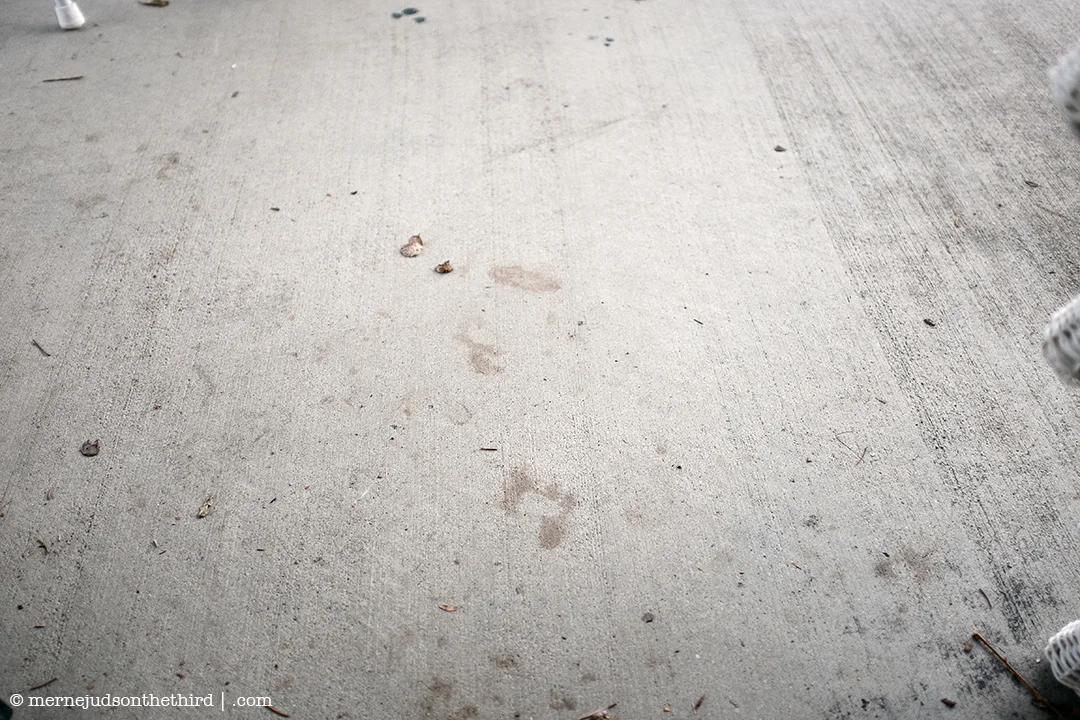 335 - Quiet Days - 01.01.15 - One A Day series
