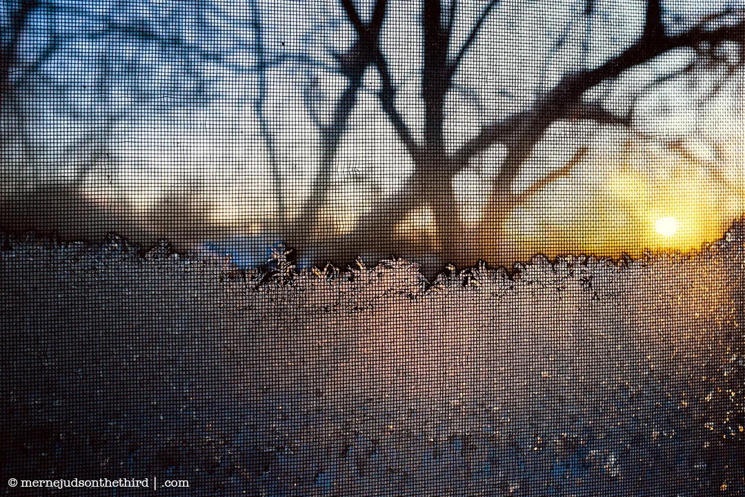 338 - You Never Ended Up Coming Home - 01.04.15 - One A Day series