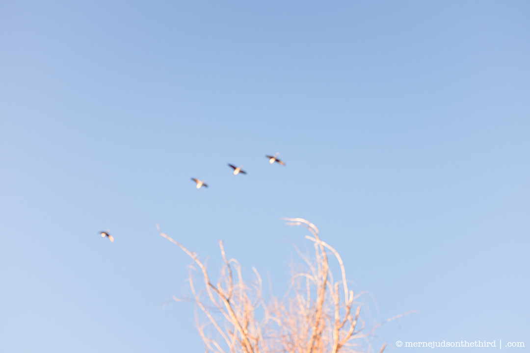 339 - Once In Order - 01.05.15 - One A Day series
