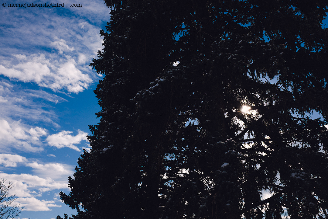 341 - Nature Is Overwhelming - 01.07.15 - One A Day series