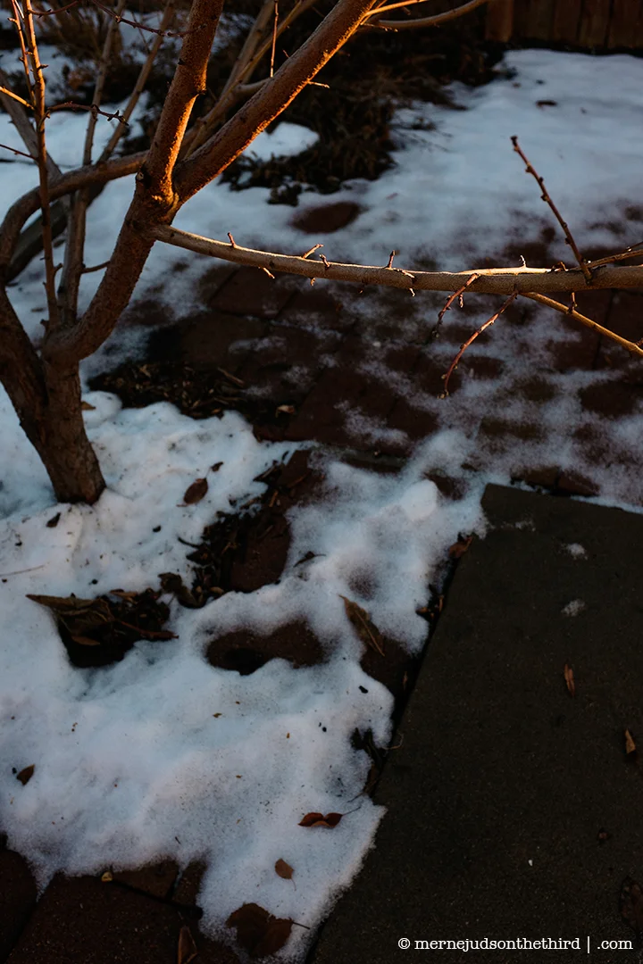 345 - We Came From Exploding Stars - 01.11.15 - One A Day series