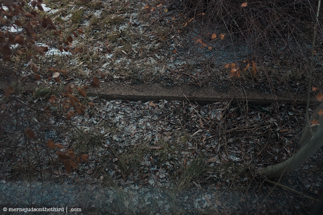 350 - Feeling Comfortable - 01.16.15 - One A Day series