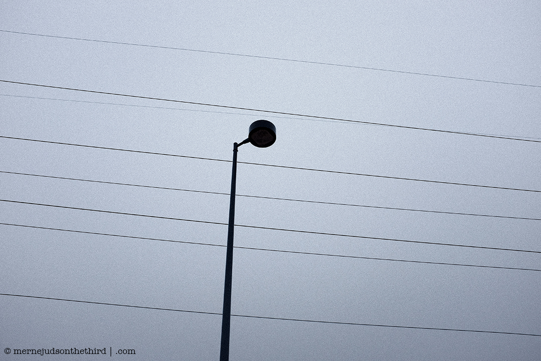 365 - It’s Strong With This One - 01.31.15 - One A Day series