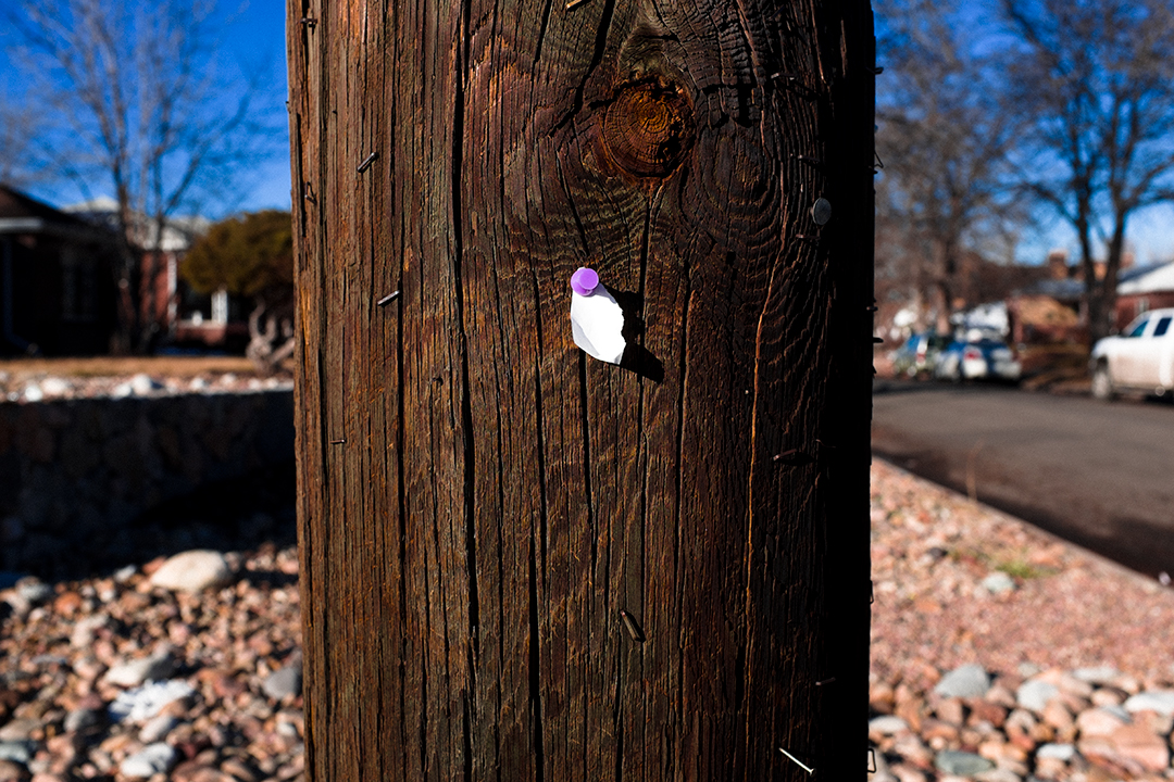 Please Take One.