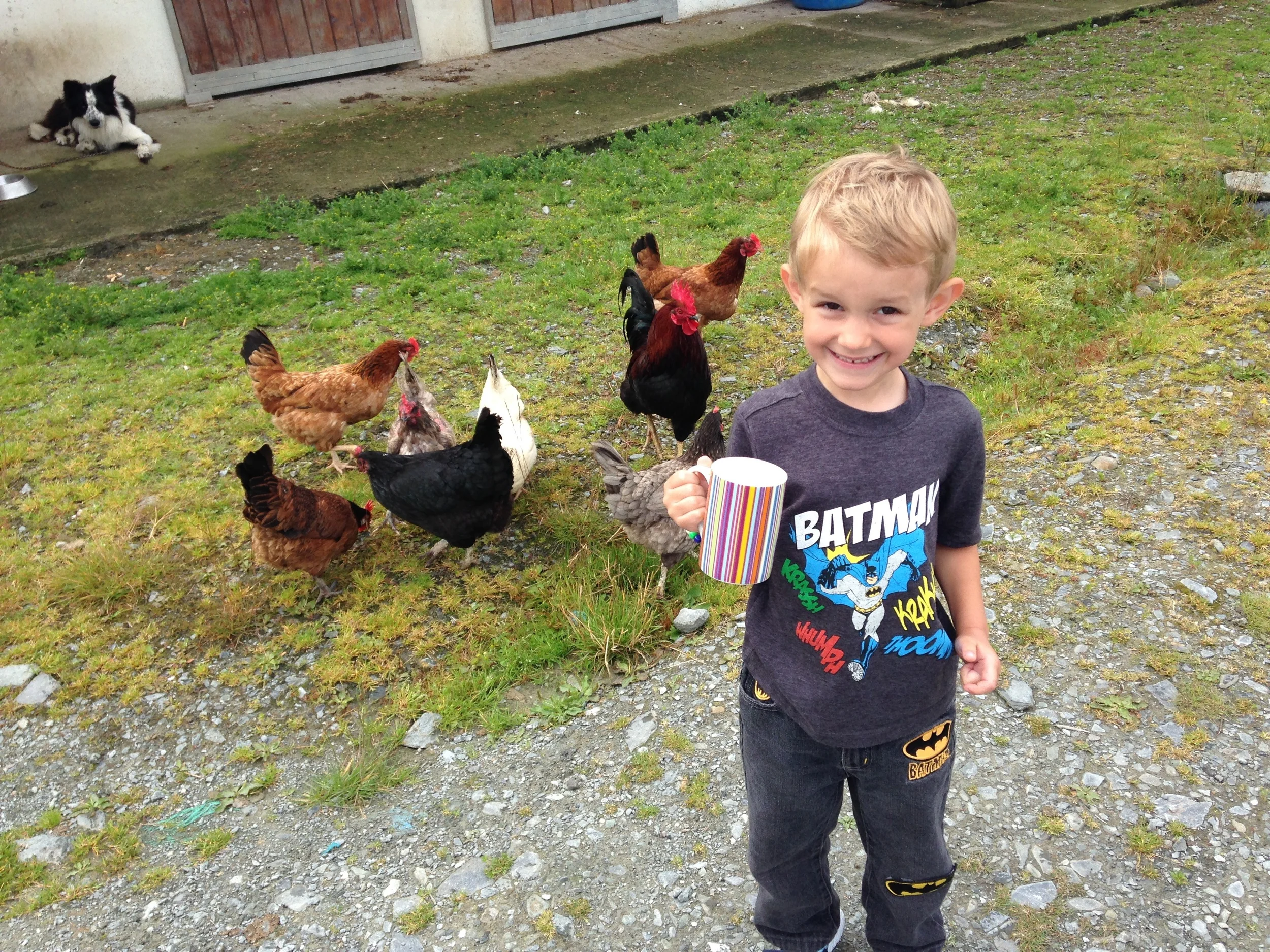Kian about to feed the soaked up bread to the chickens