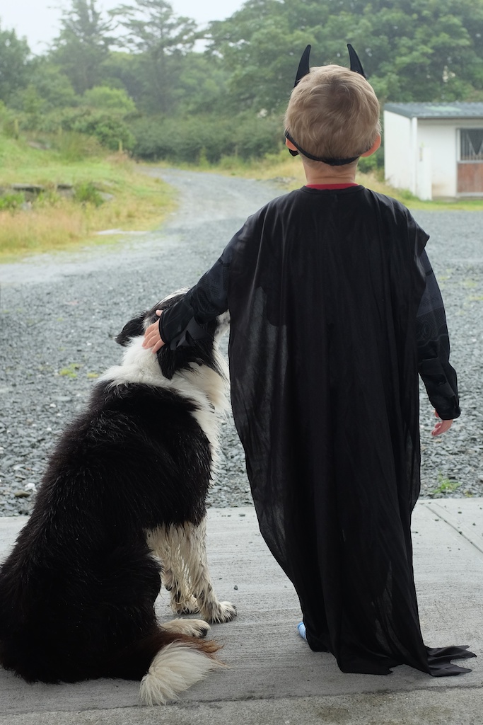 Batman and Sam watching the rain