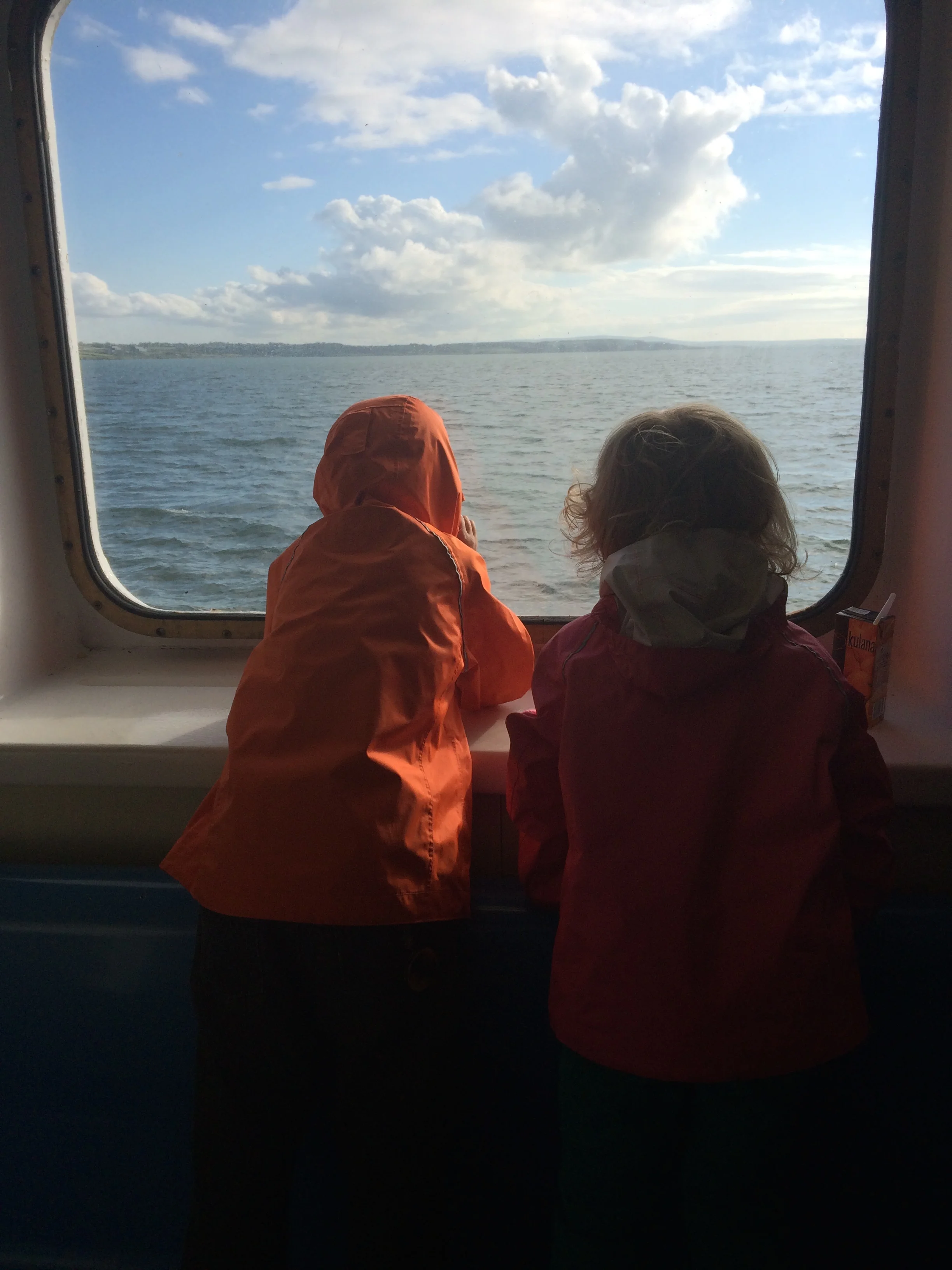 The kids looking at the Shannon River from the ferry