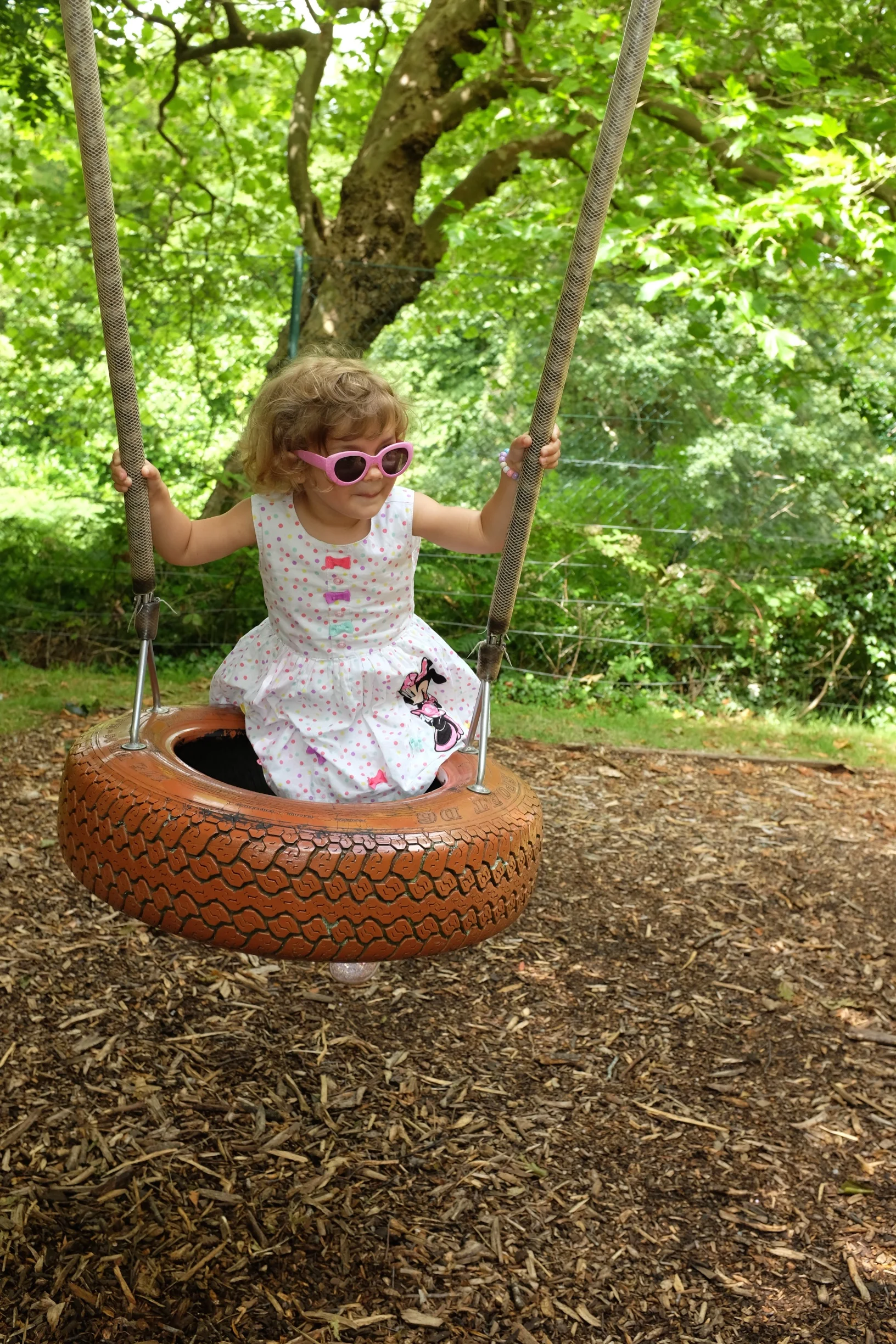 Woodland Playground
