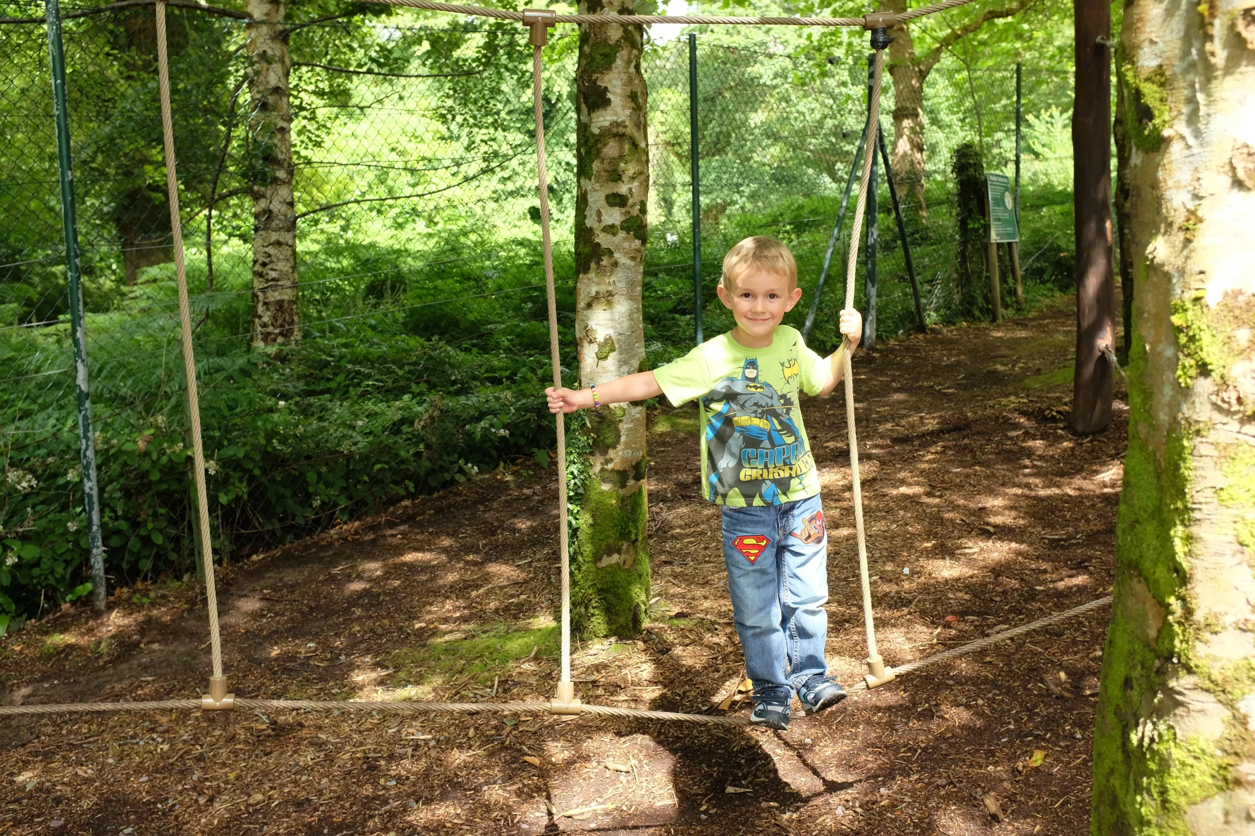 Woodland Playground