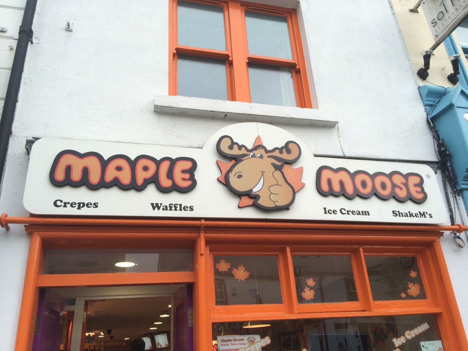 Maple Moose