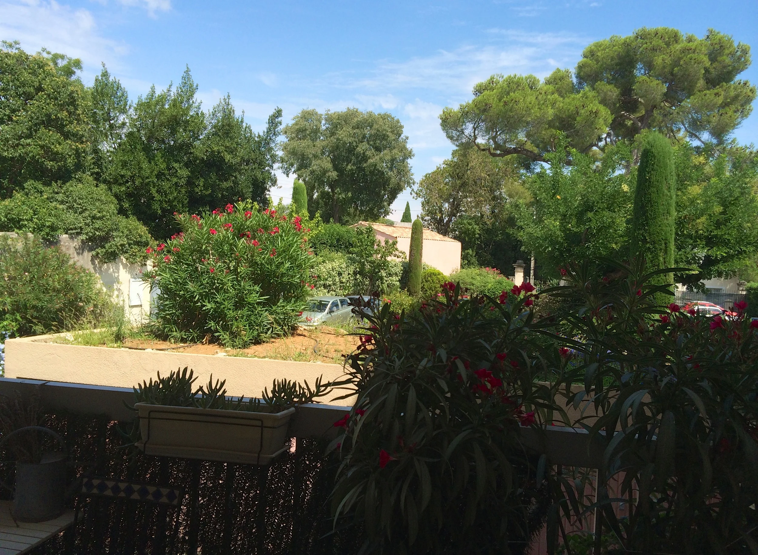 Day 41 - Lounging and Groceries