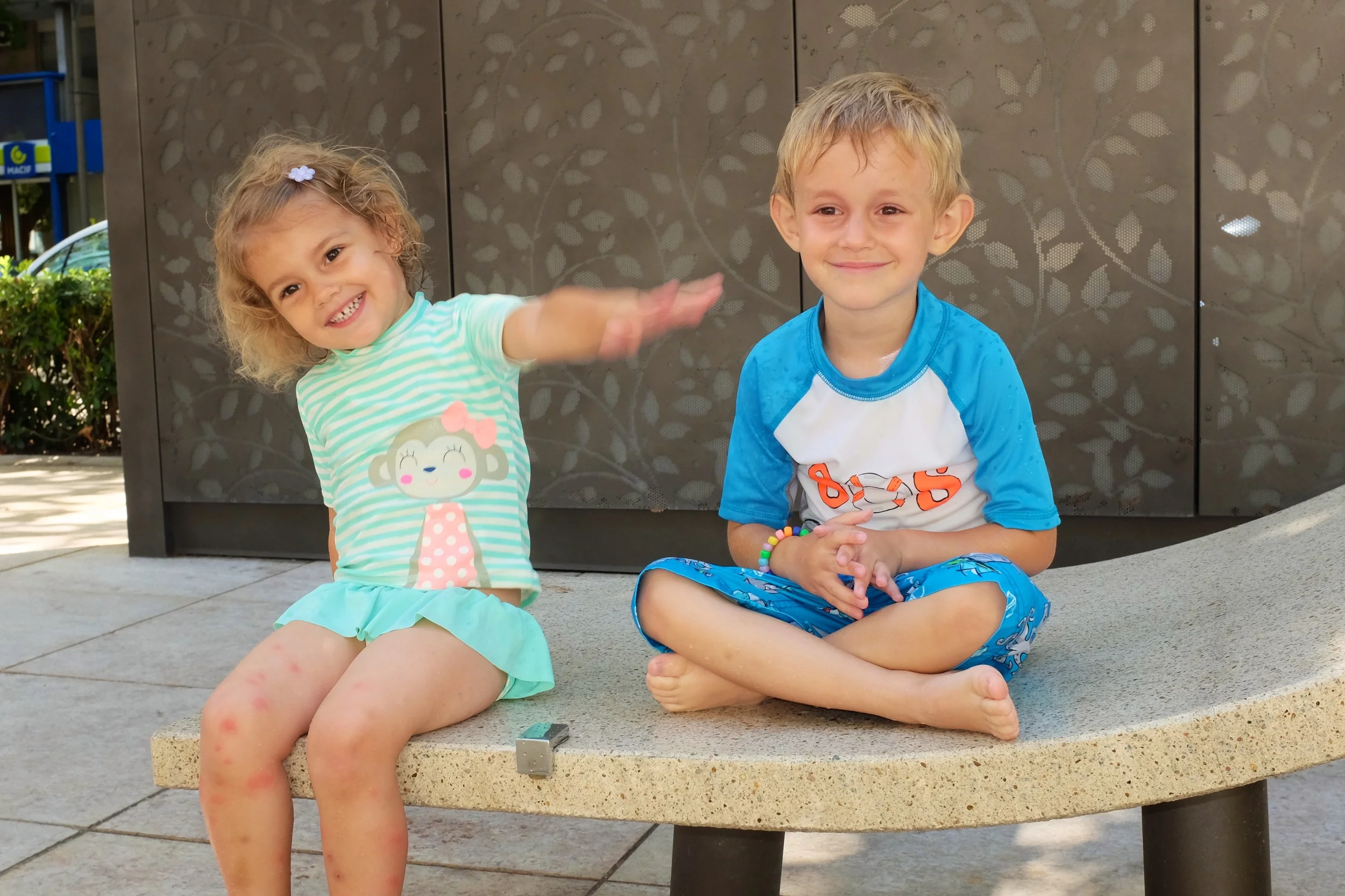 Day 46 - Evil Mosquitos and a French Pharmacy to the Rescue