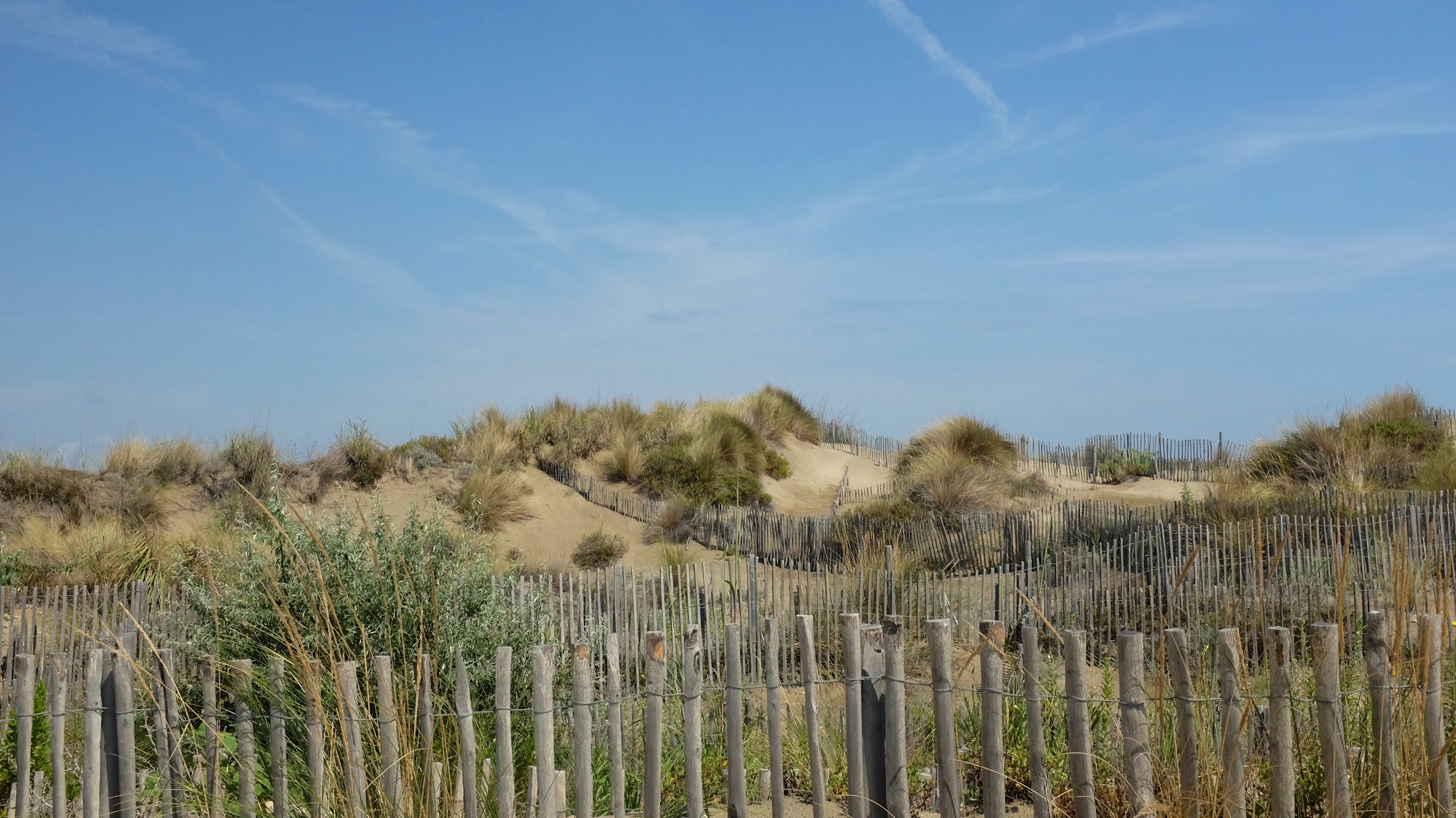 Plage de l'Espiguette