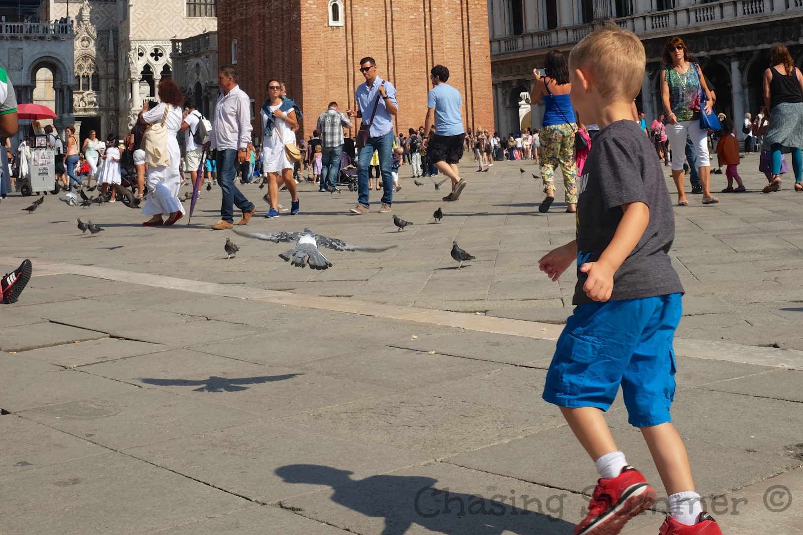 Kian chasing after the pigeons