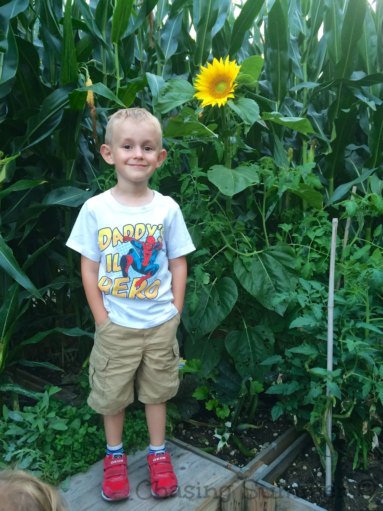 Kian and the Sunflower