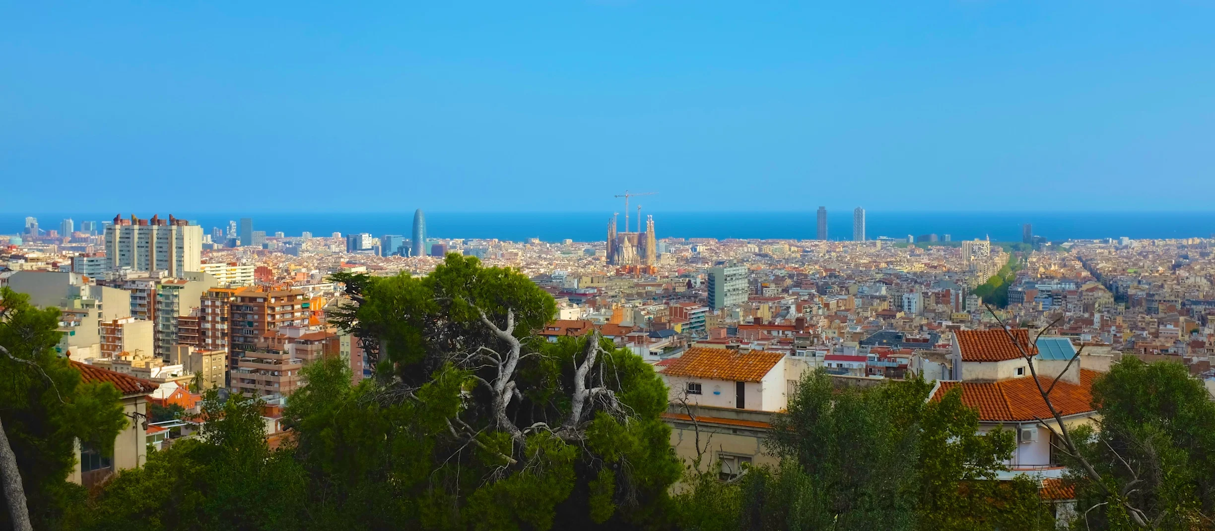 Panoramic view of Barcelona's rooftops with Sagrada Familia rising above.