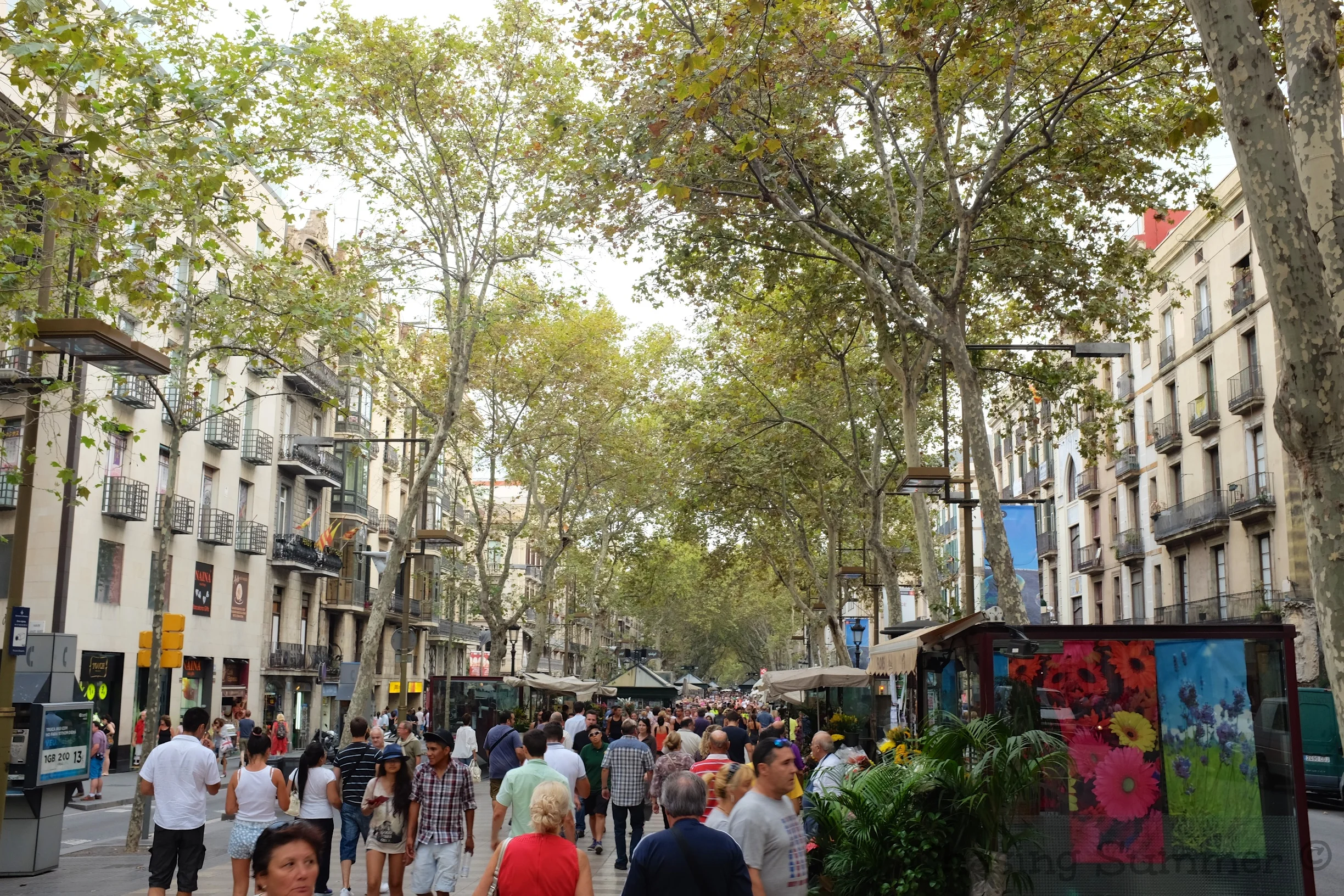 La Rambla