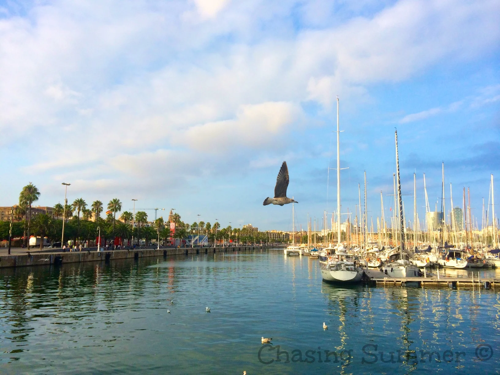 Day 73 - Placa de Catalunya & La Rambla