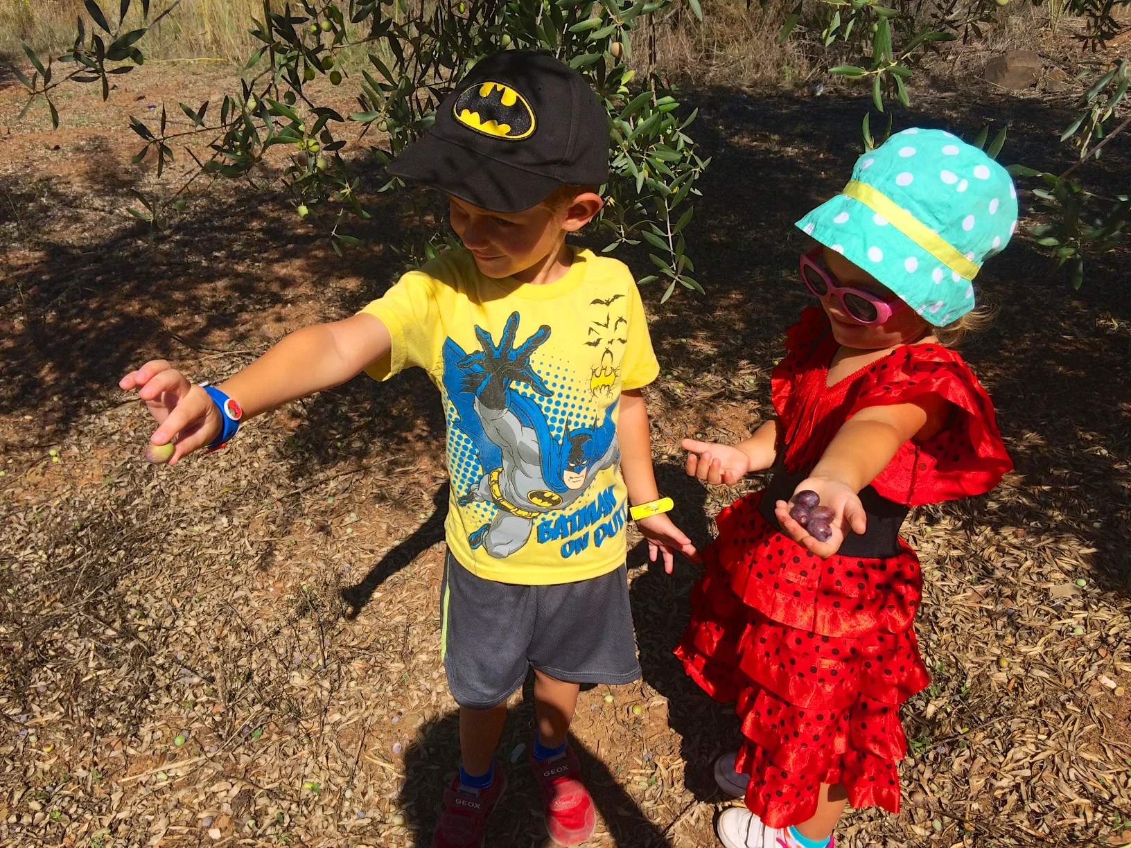 Day 108 - Picking Olives instead of Pumpkins