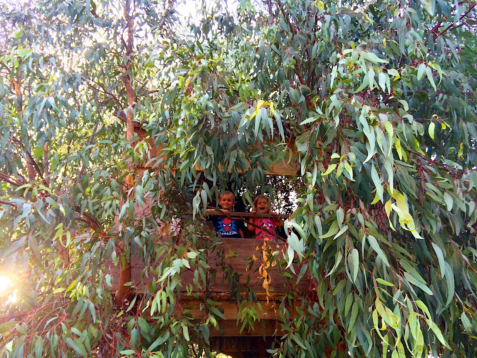 Day 116 - Swimming Pool & A Tree House