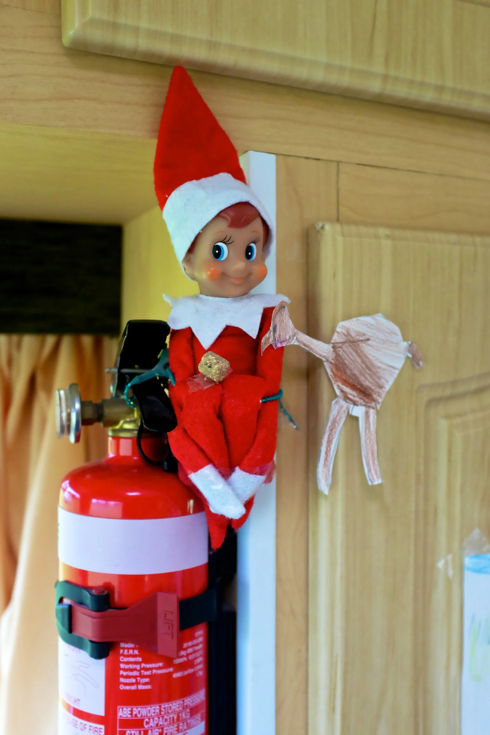 DSCF4319.jpg