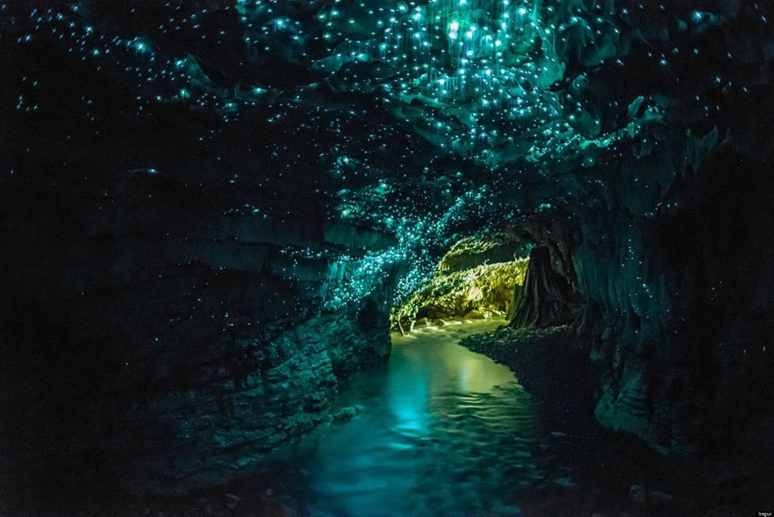 Photo of Waitomo Glow Worm cave, courtesy of Huffington Post, as we couldn't take pictures inside