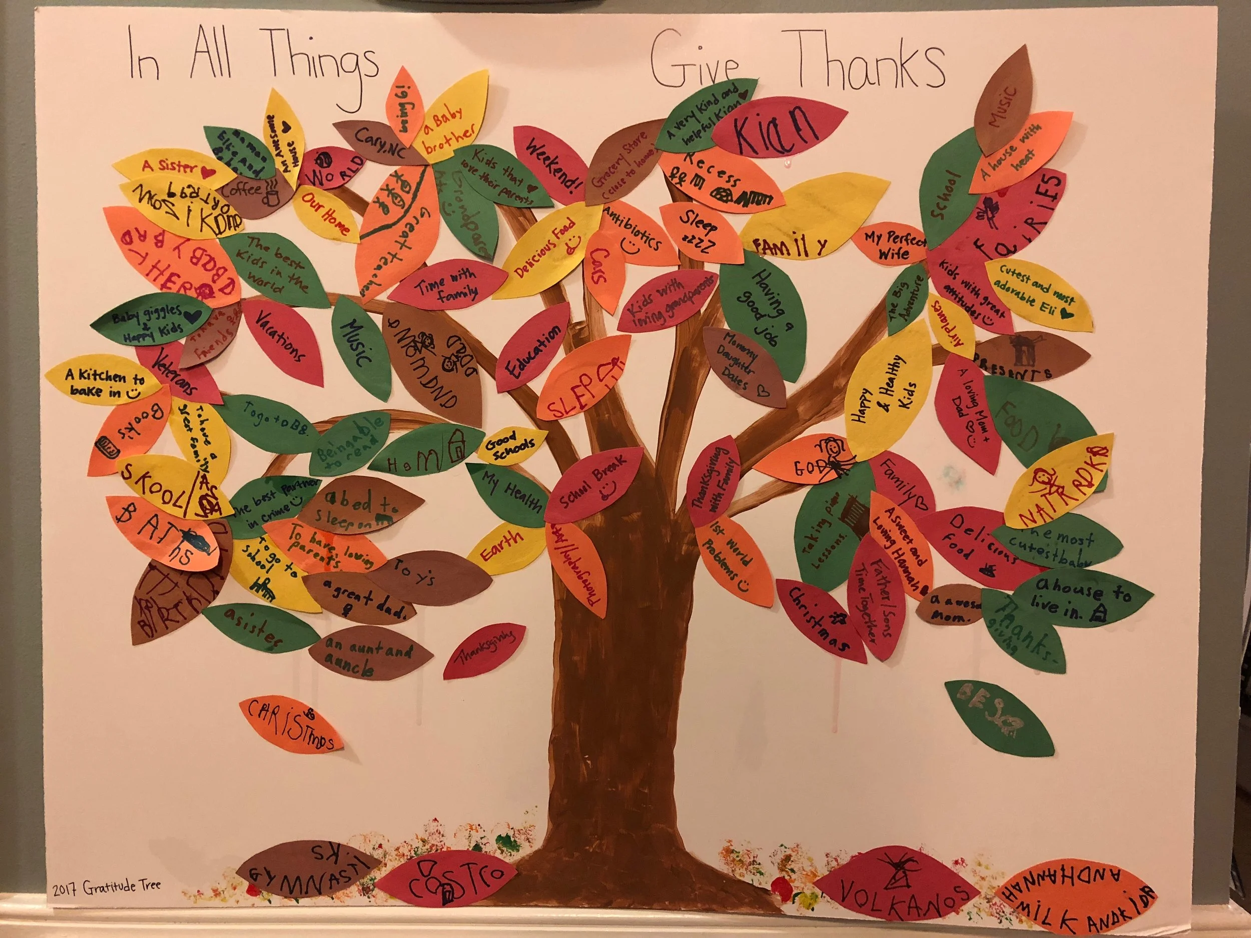 Gratitude Tree - 2017
