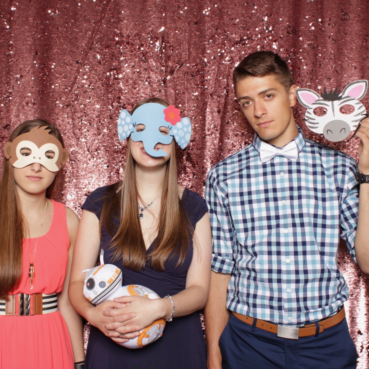 Animal Masks