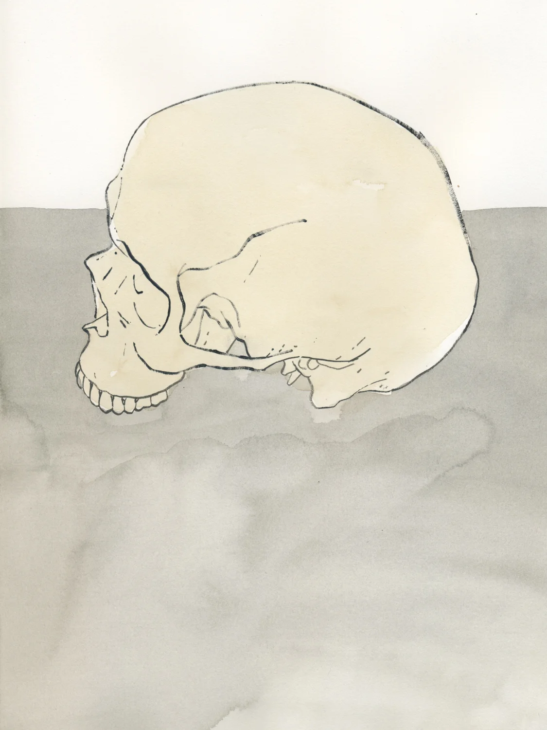 skull.jpg