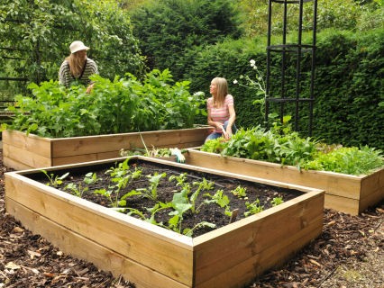 raised-beds-and-planters-category-1.jpg