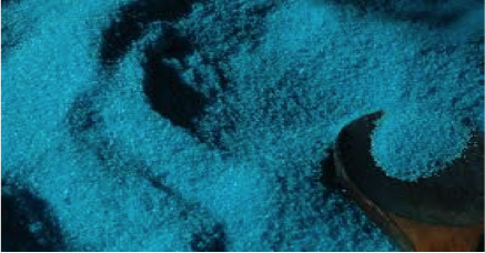 BLOG112817PHOTO3.png