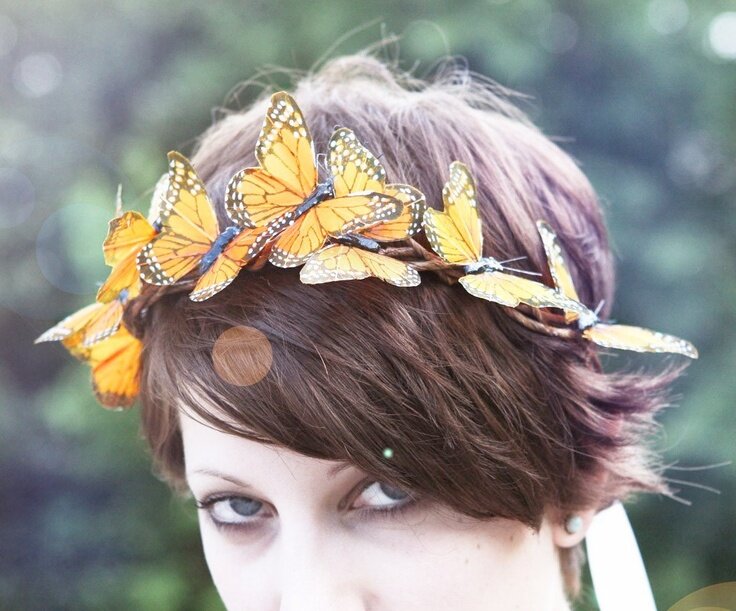 Butterfly Crowns