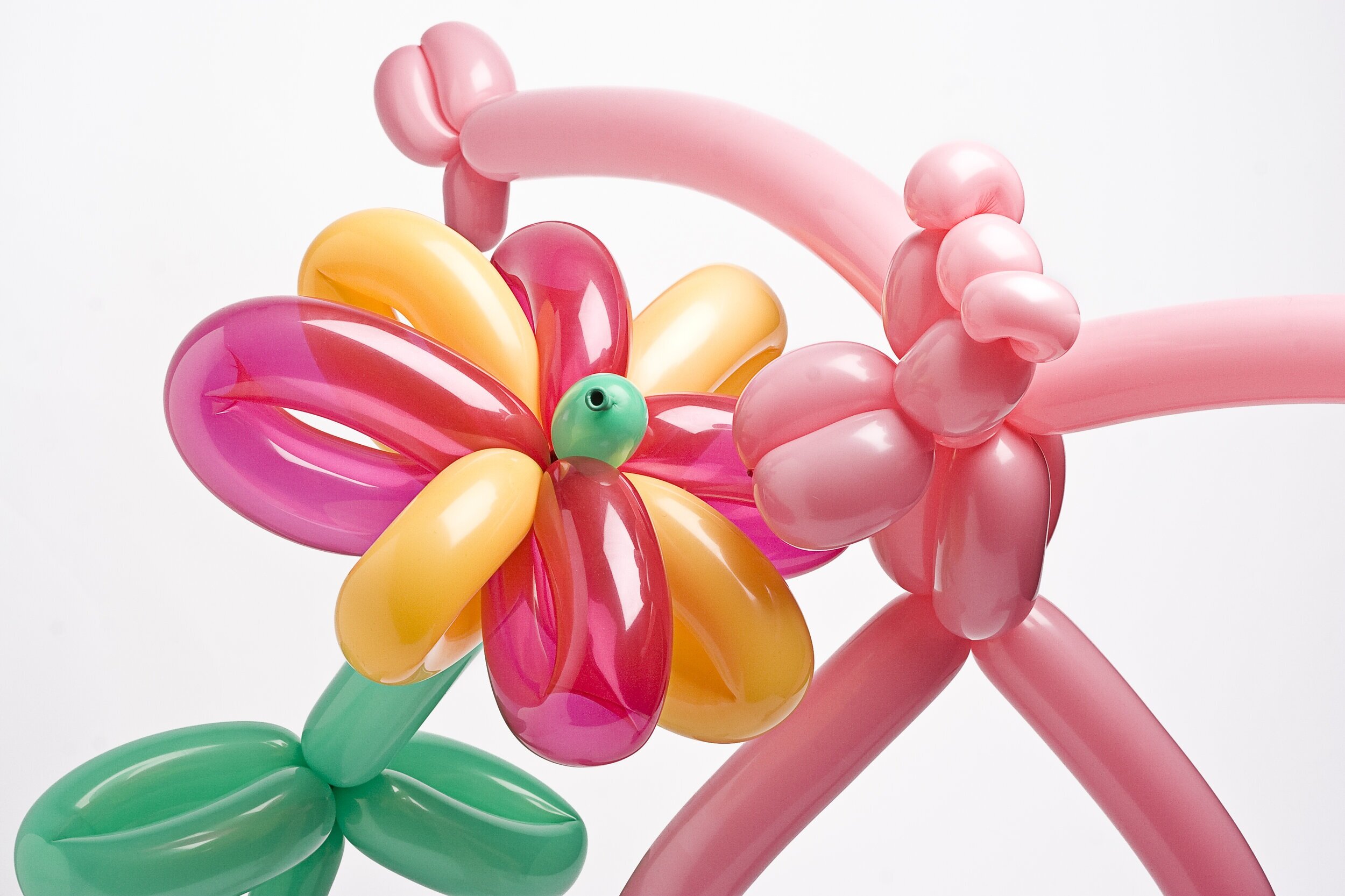 Balloon Twisting