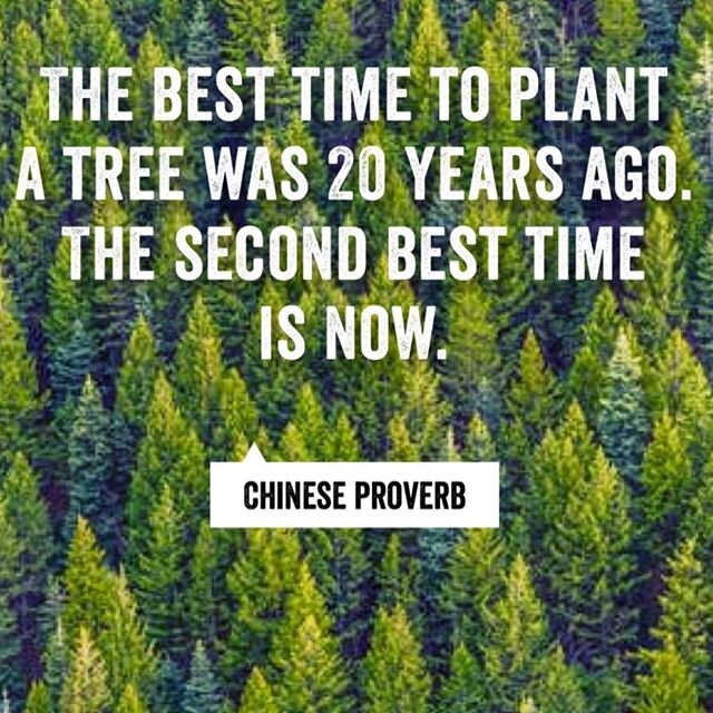 #planttrees🌱