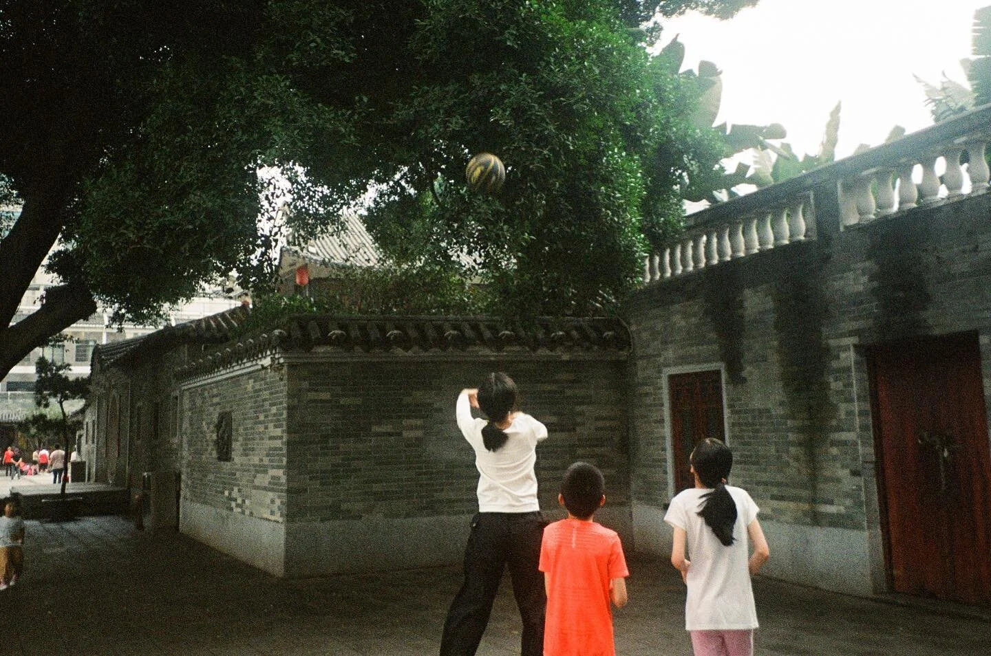 The fear of getting more things stuck in trees when trying to unstuck the previous thing.