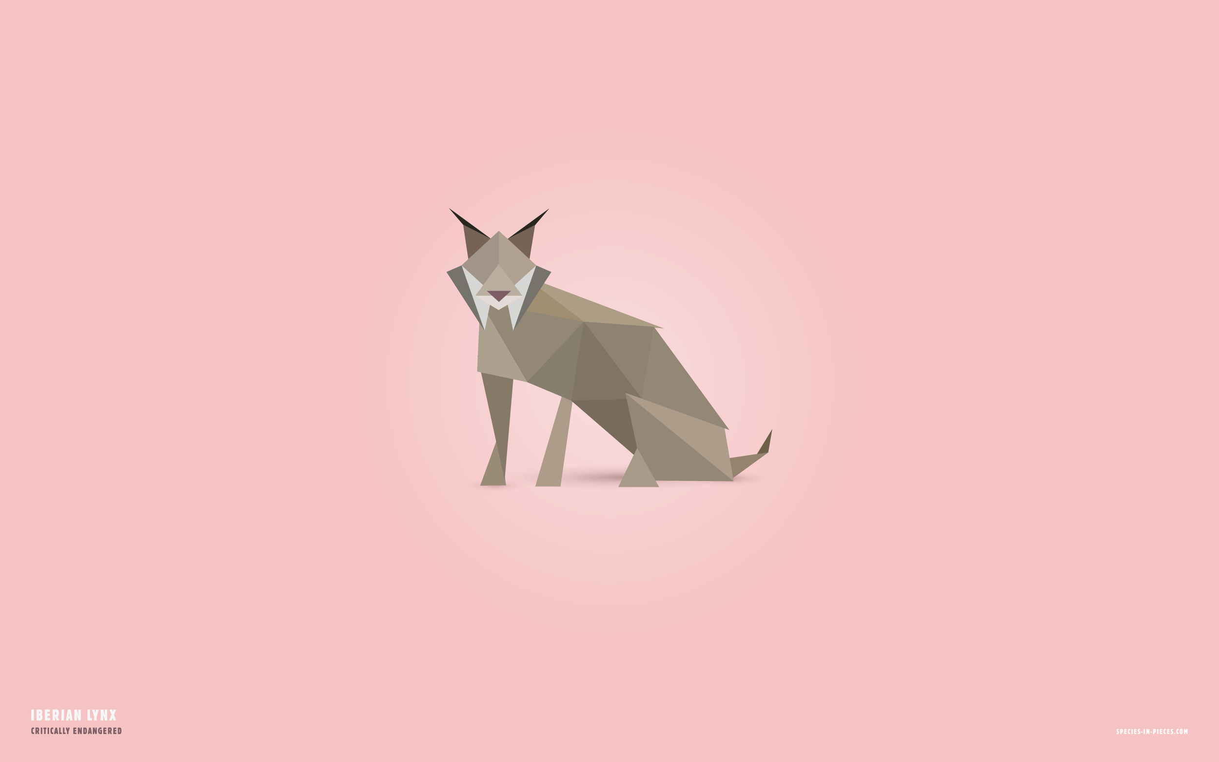 2560x1600_lynx.png
