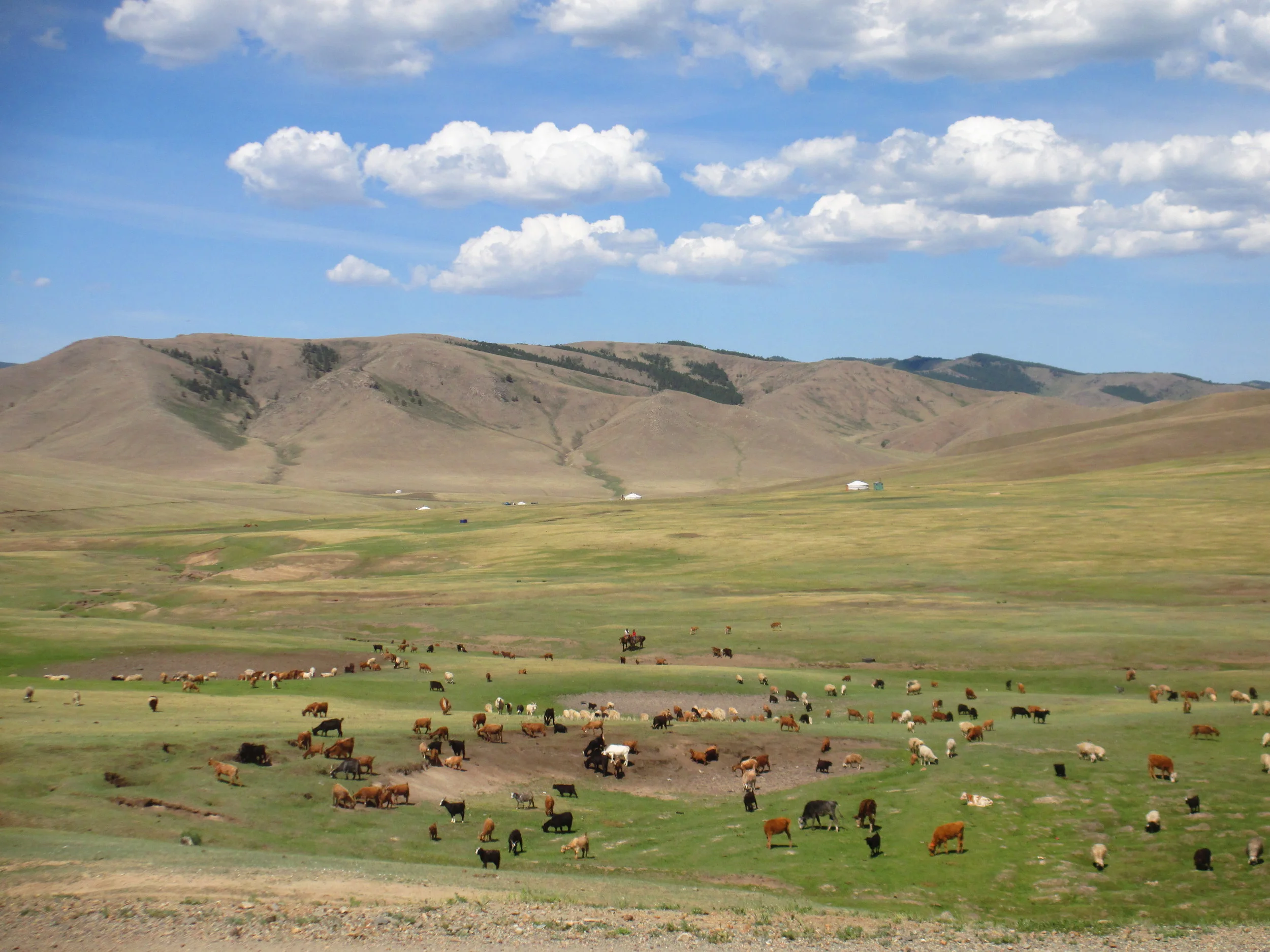 The Mongolian steppe (gers in the distance)